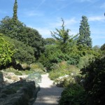 Alpine Garden of Jardin des Plantes