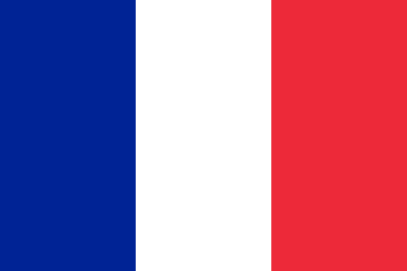 2CVParisTour - French flag